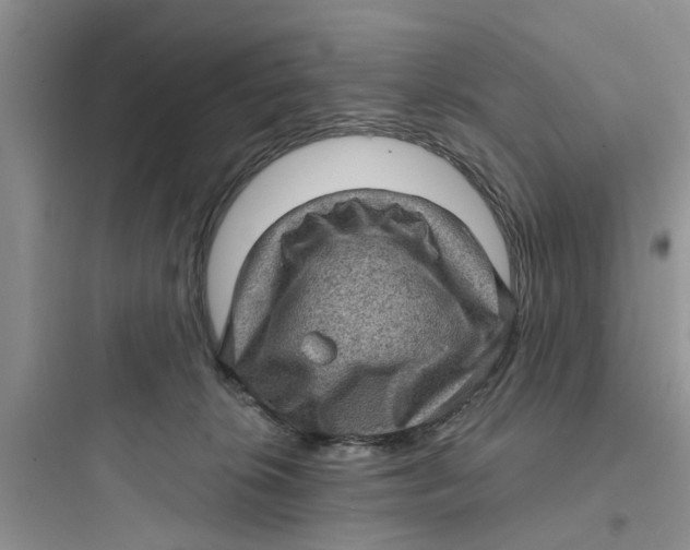 X0000097630276200803211816