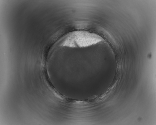 X0000097630277200803211816