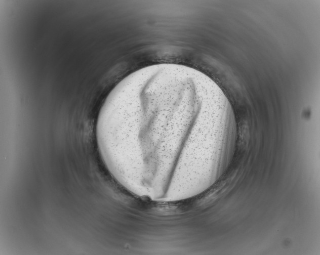 X0000097630278200803211816