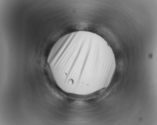 X0000097630280200803211817