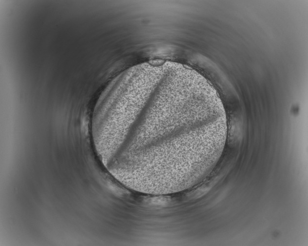 X0000097630282200803211817