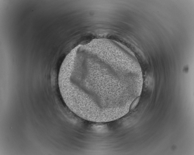 X0000097630283200803211817