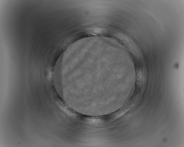 X0000097630284200803211817