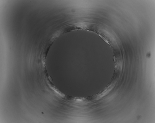 X0000097630285200803211817