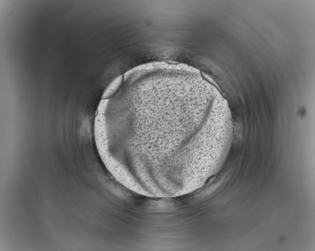 X0000097630286200803211817