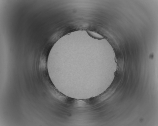 X0000097630287200803211817