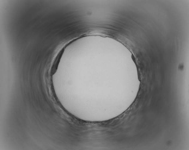 X0000097630289200803211816