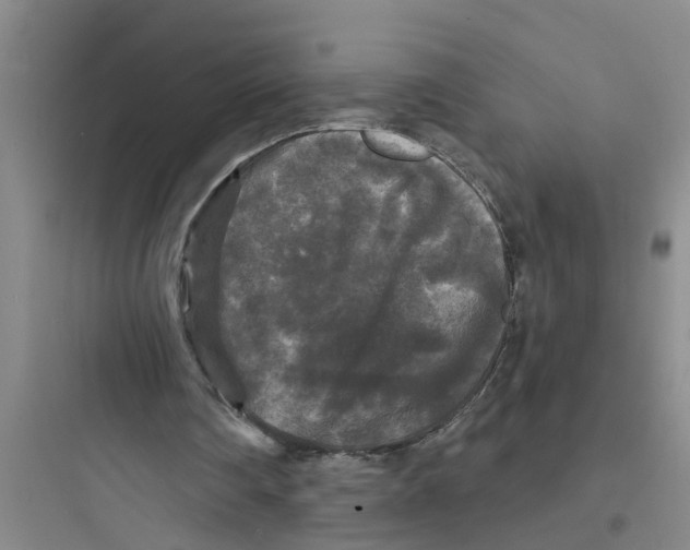 X0000097630290200803211816