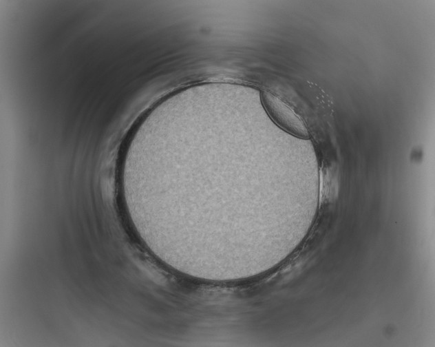 X0000097630291200803211816