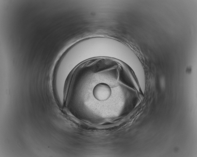 X0000097630292200803211816