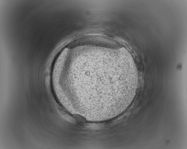 X0000097630293200803211816