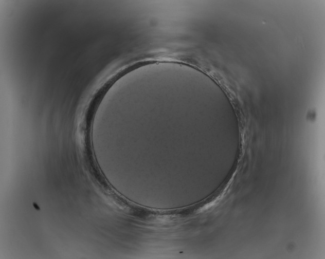 X0000097630295200803211816