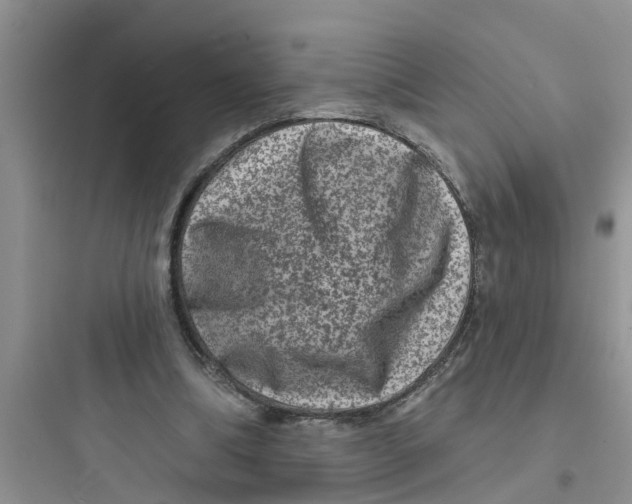 X0000097630298200803211816