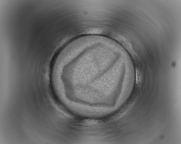 X0000097630300200803211816