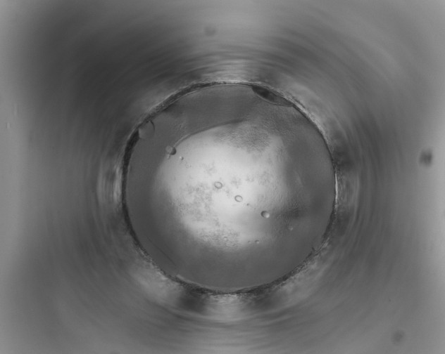 X0000097630301200803211816