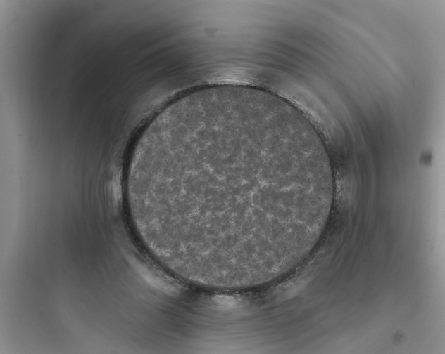 X0000097630302200803211816