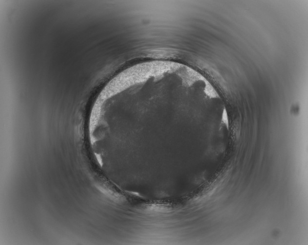 X0000097630303200803211816