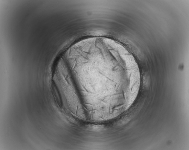 X0000097630304200803211816