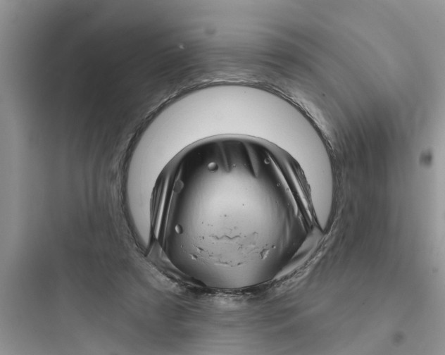 X0000097630305200803211816