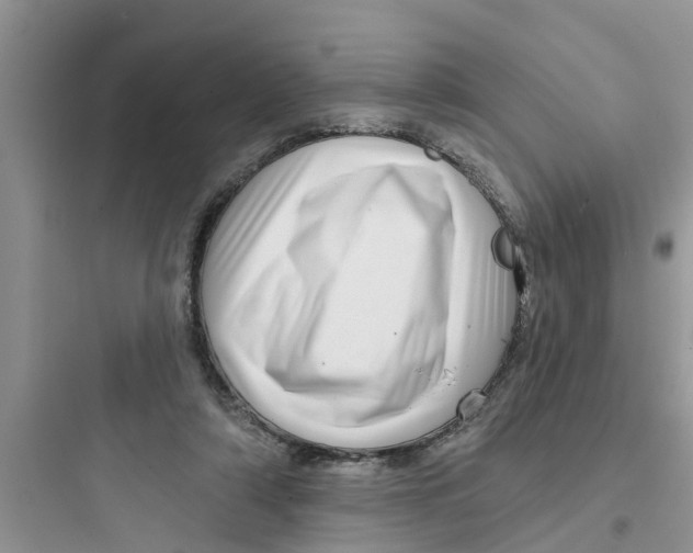 X0000097630306200803211816