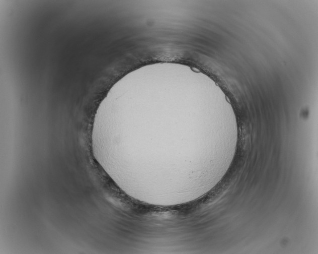 X0000097630307200803211816