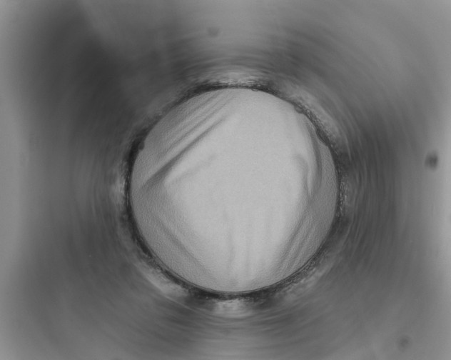 X0000097630309200803211816