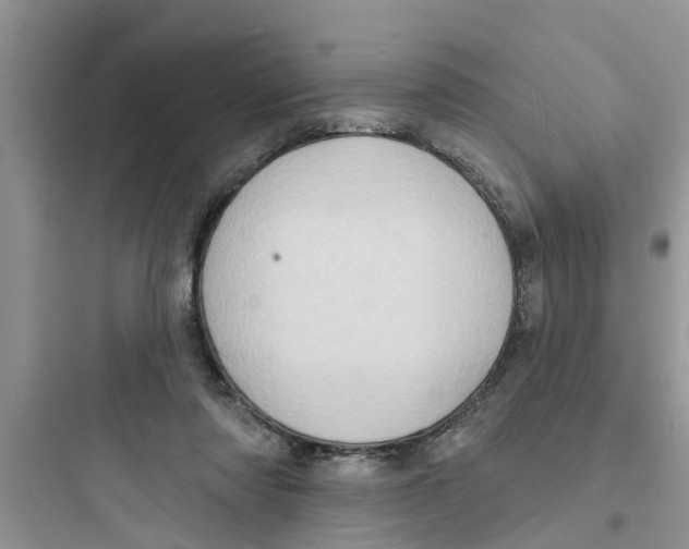 X0000097630310200803211816