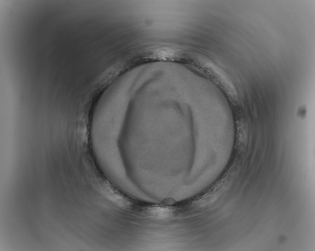 X0000097630313200803211815