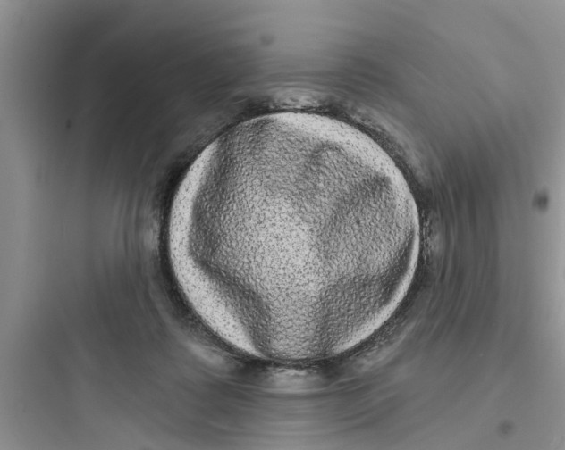 X0000097630315200803211815