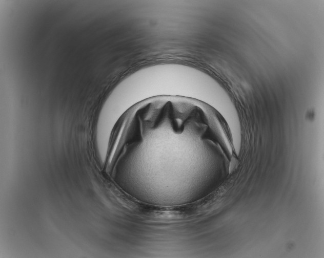 X0000097630316200803211815