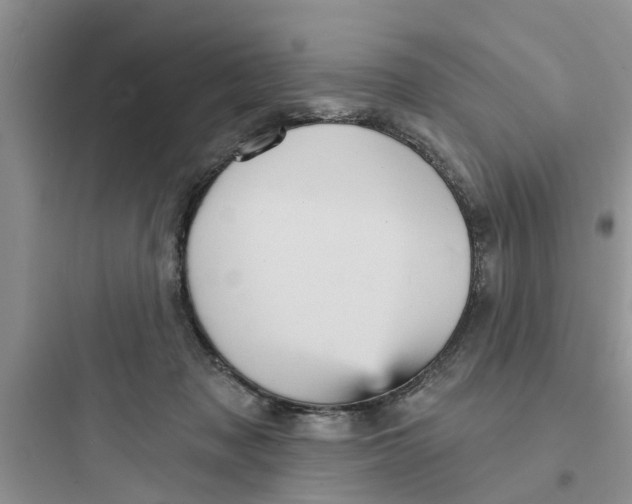 X0000097630317200803211815