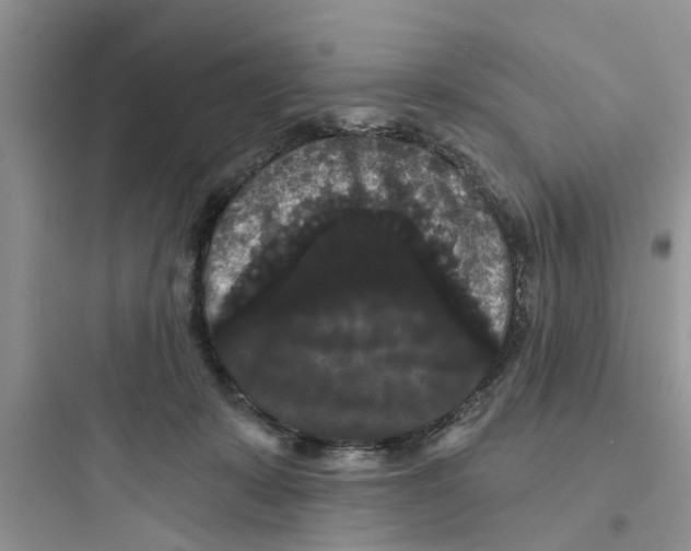 X0000097630319200803211815