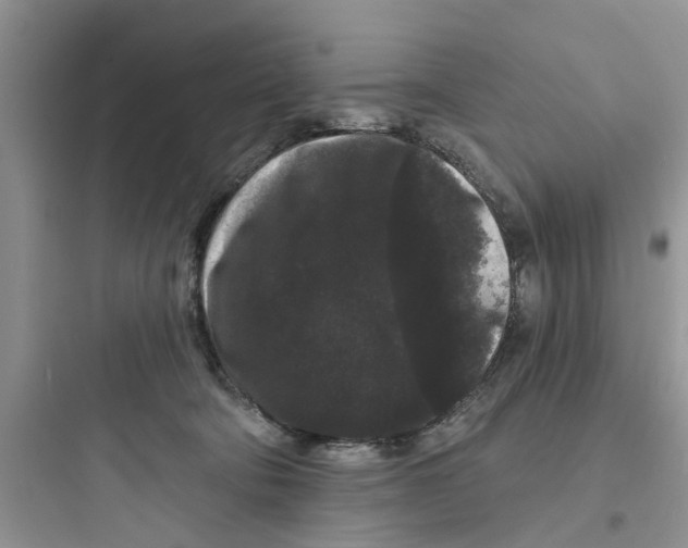 X0000097630322200803211815