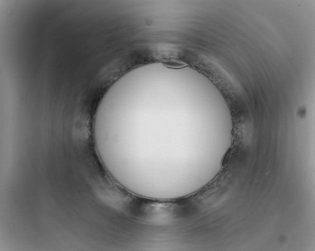 X0000097630323200803211815