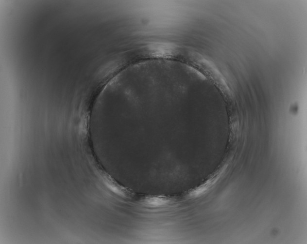 X0000097630325200803211815