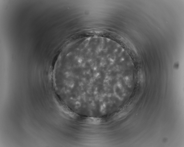 X0000097630328200803211815