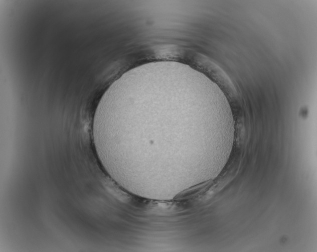 X0000097630329200803211815