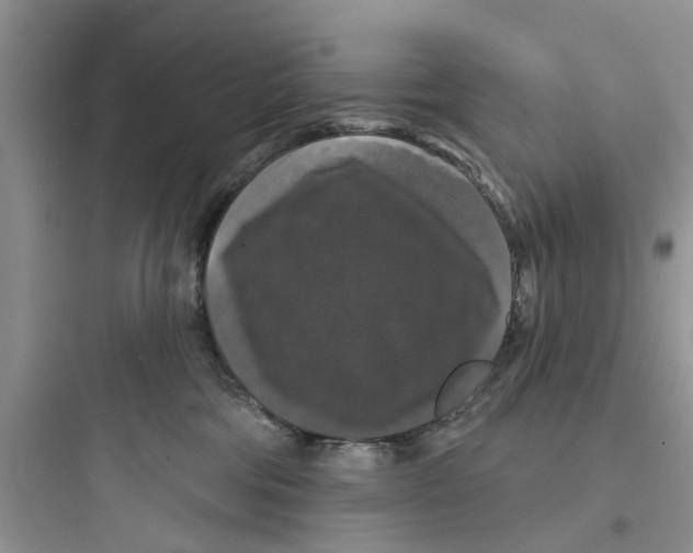 X0000097630330200803211815