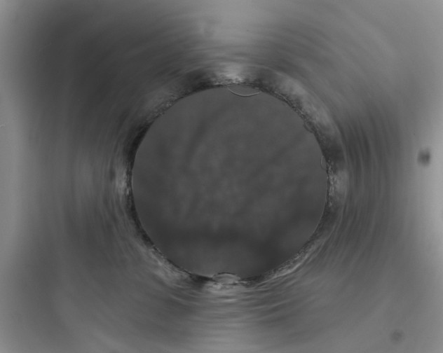 X0000097630331200803211815