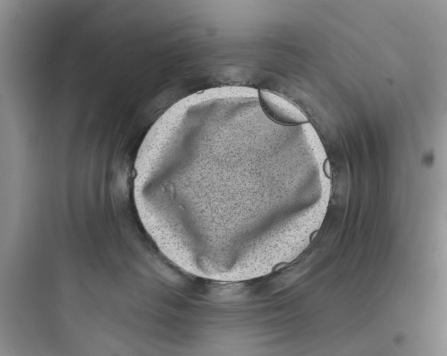 X0000097630334200803211815