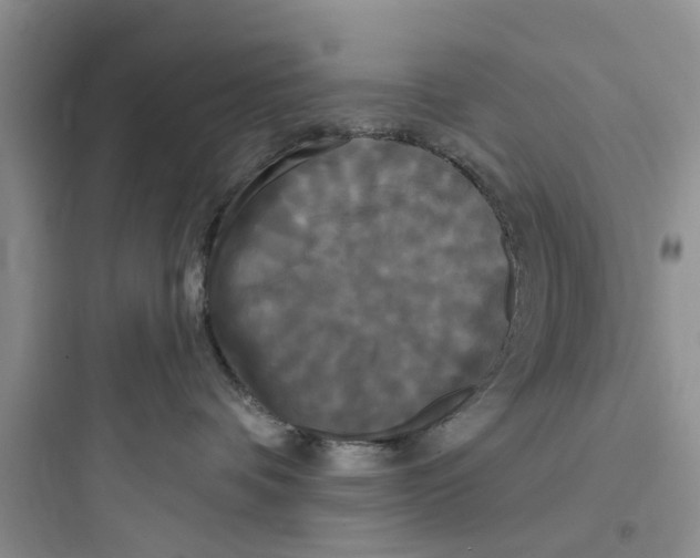 X0000097630336200803211815