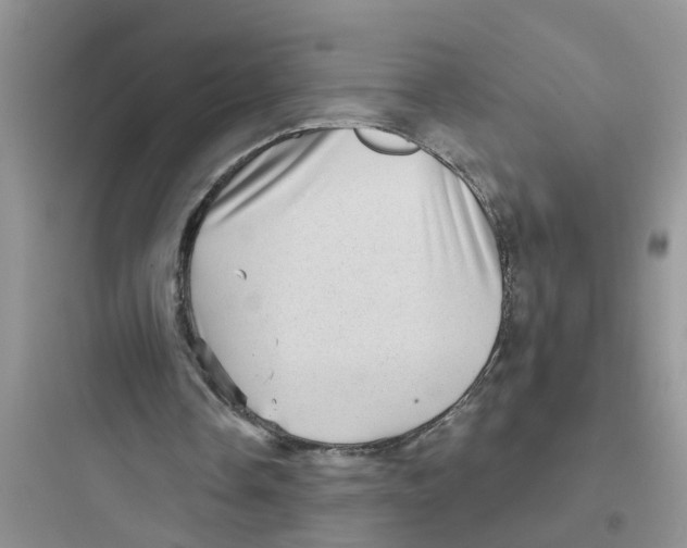 X0000097630338200803211814