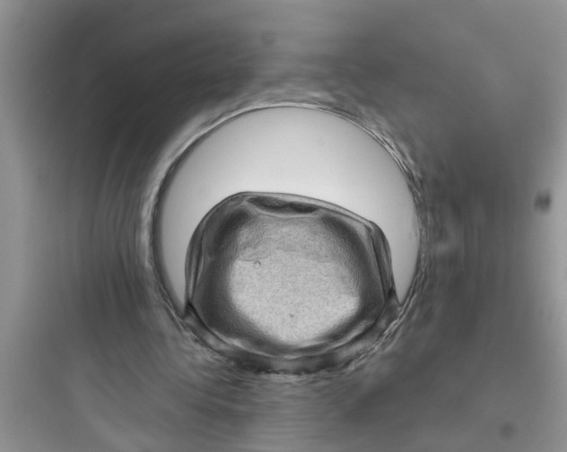 X0000097630340200803211814