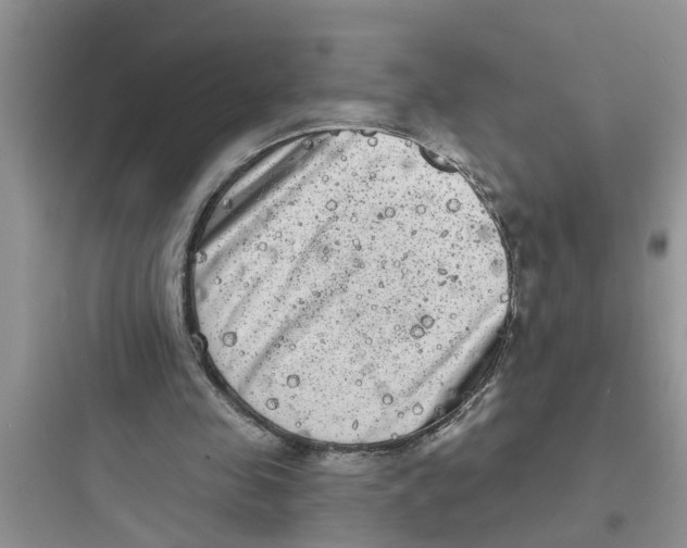 X0000097630341200803211814