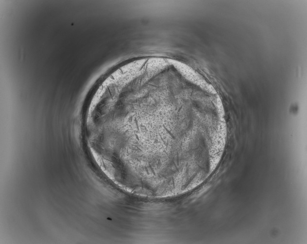 X0000097630342200803211814