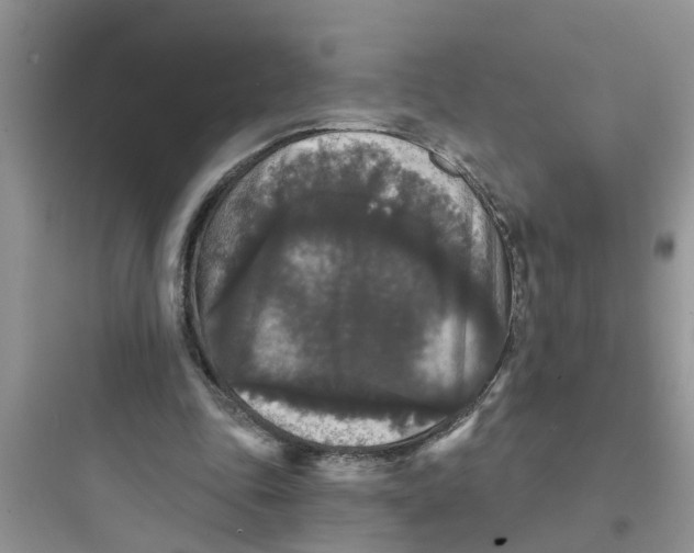 X0000097630343200803211814