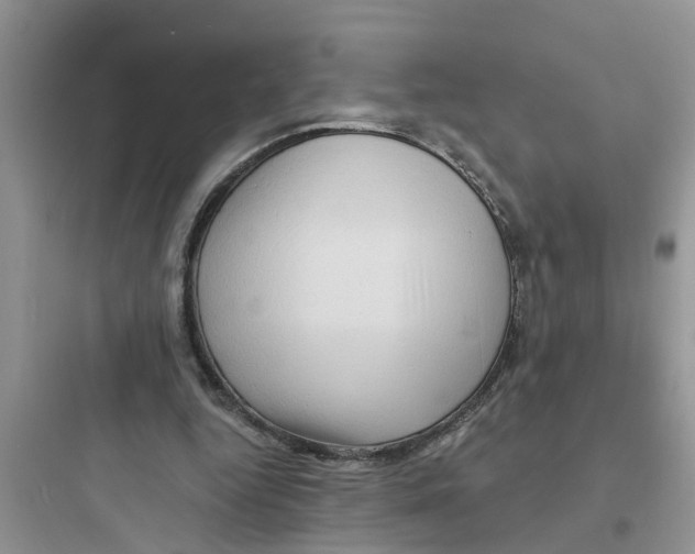 X0000097630344200803211814