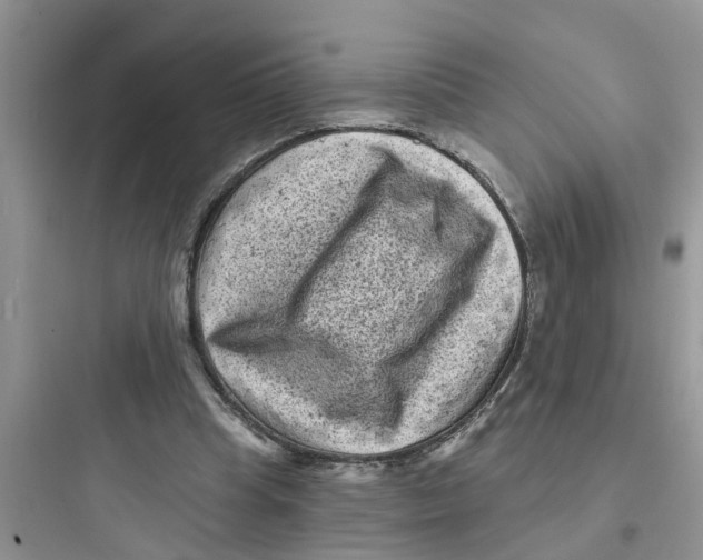 X0000097630345200803211814