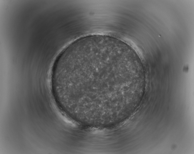 X0000097630346200803211814