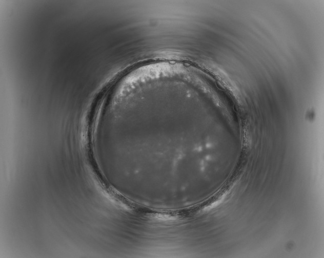 X0000097630347200803211814